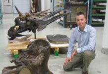 Dinosaurs, Diets and Ecological Niches: Study Shows Recipe for Success