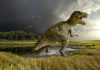 New Evidence for Warm-Blooded Dinosaurs