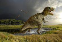 New Evidence for Warm-Blooded Dinosaurs