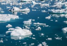 Ice-free Arctic winters could explain amplified warming during Pliocene
