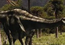 Dinosaur teeth reveal feeding habits