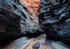 Fossils in Western Australia could hold clues for life on Earth