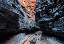 Fossils in Western Australia could hold clues for life on Earth