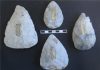 Handaxe Design Reveals Distinct Neanderthal Cultures