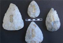 Handaxe Design Reveals Distinct Neanderthal Cultures