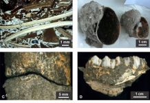 Hidden Shell Middens Reveal Ancient Human Presence in Bolivian Amazon