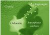 International Research Discovers New Mineral “Qingsongite”