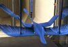 Dinosaur Wind Tunnel Test Provides New Insight Into the Evolution of Bird Flight
