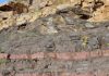 Ancient Soils Reveal Clues to Early Life On Earth