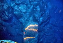 Study shows volcanic eruptions beneath bodies of water can cause widespread dispersal of diatoms