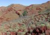 Climate Puzzle Over Origins of Life On Earth