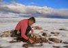 Study shows unprecedented warmth in Arctic