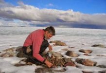 Study shows unprecedented warmth in Arctic