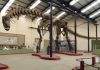 Scientists Digitally Reconstruct Giant Steps Taken by Dinosaurs for the First Time
