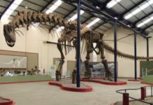 Scientists Digitally Reconstruct Giant Steps Taken by Dinosaurs for the First Time