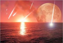 Paleontologist Presents Origin of Life Theory