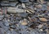 Radioactive shale gas contaminants found at wastewater discharge site