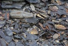 Radioactive shale gas contaminants found at wastewater discharge site