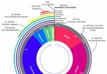 Paleozoic Era