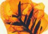 Amber provides new insights into the evolution of the Earth’s atmosphere