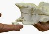 CT and 3-D Printers Used to Recreate Dinosaur Fossils