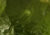 Ancient Minerals: Which Gave Rise to Life?