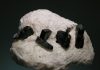 Columbite