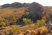 Earliest life on Earth: scientists find evidence in WA rock sediments