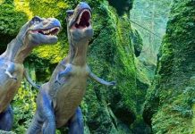 Scientists create detailed map of dinosaur brain