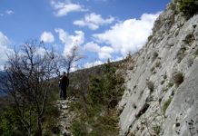Study links earthquake faults to slow-moving depths