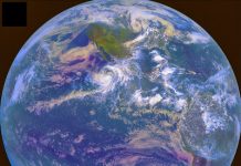 When tectonics killed everything
