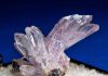 Creedite