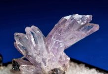 Creedite