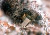 Cordierite