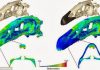 Functional Importance of Dinosaur Beaks Illuminated