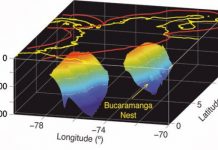 Runaway Process Drives Intermediate-Depth Earthquakes