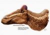 Surprise: Duck-Billed Dinosaurs Had Fleshy ‘Cocks Comb’