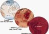 When Will Earth Lose Its Oceans?