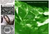 Diamonds in Earth’s oldest zircons are nothing but laboratory contamination
