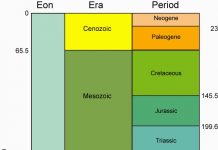 Phanerozoic