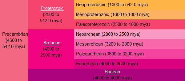 precambrian plants names