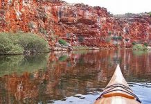 Exmouth stalagmites reveal more climatic history