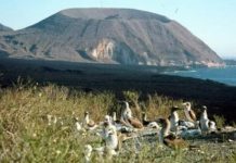 Source of Galapagos Eruptions Not Where Models Place It