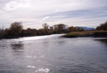 Jefferson River