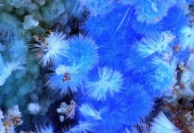 Cyanotrichite