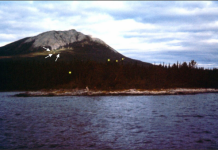 Earthquake lights linked to rift environments, subvertical faults