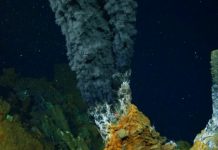 Substance in photosynthesis was in play in ancient, methane-producing microbes