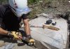 Researchers discover ‘epic’ new Burgess Shale site in Canada