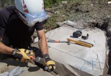 Researchers discover ‘epic’ new Burgess Shale site in Canada