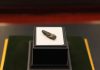 First discovery of dinosaur fossils in Malaysia